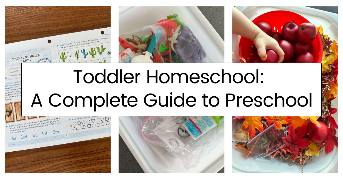 Toddler Homeschool: A Complete Guide to Homeschool