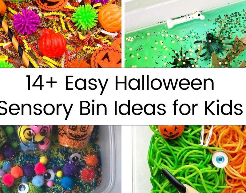 14+ Easy Halloween Sensory Bin Ideas for Kids