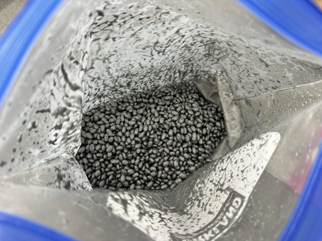 Black beans and silver paint mixed inside a ziploc bag for a DIY space sensory bin