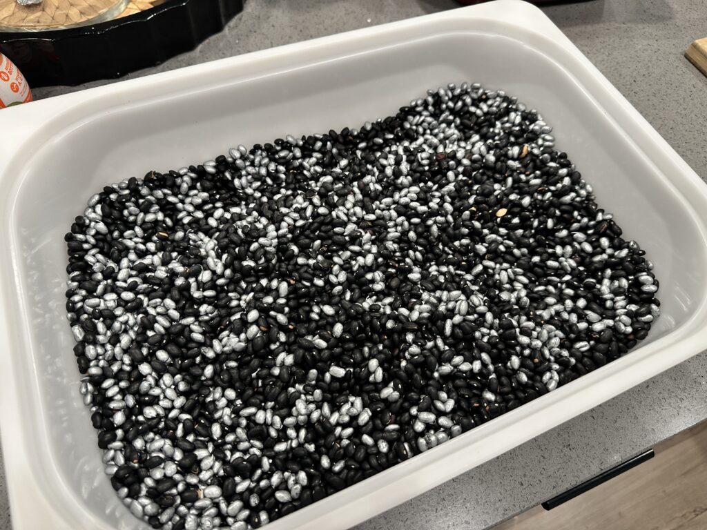 Black beans and silver painted beans mixed together as the base filler for a space sensory bin